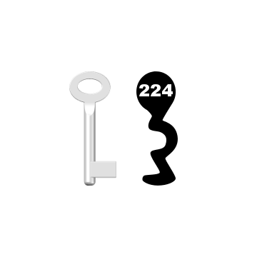 Buntbartschlüssel Standard Nr. 224 (Abbildung von der Ringseite aus gesehen)