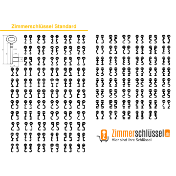 Buntbartschlüssel Standard Nr. 249a (Abbildung von der Ringseite aus gesehen)