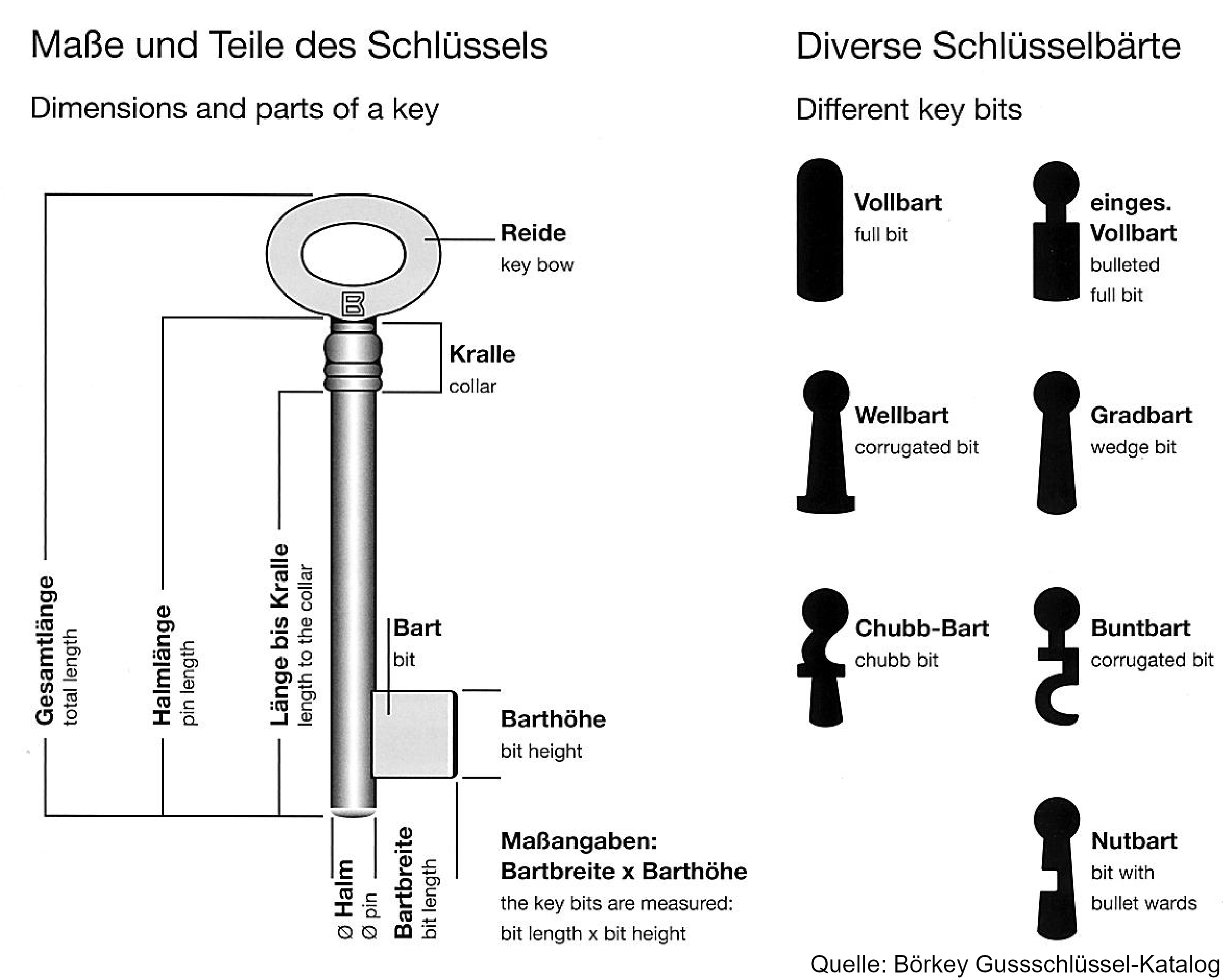 Übersichtsgrafik der Fachbegriffe bei Buntbartschlüsseln: Halm, Reide, Barthöhe und weitere Maße