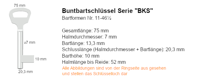 Buntbartschlüssel Serie BKS