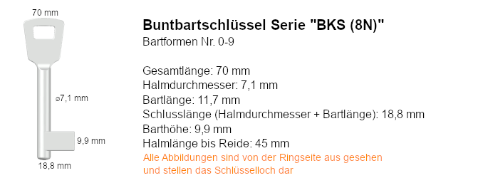 Buntbartschlüssel Serie BKS (8N)