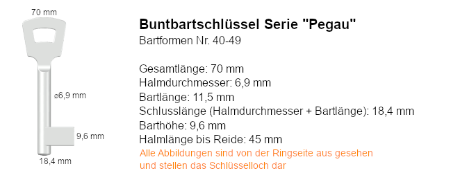 Buntbartschlüssel Serie Pegau