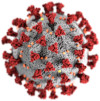 SARS-CoV-2 Quelle: Wikipedia